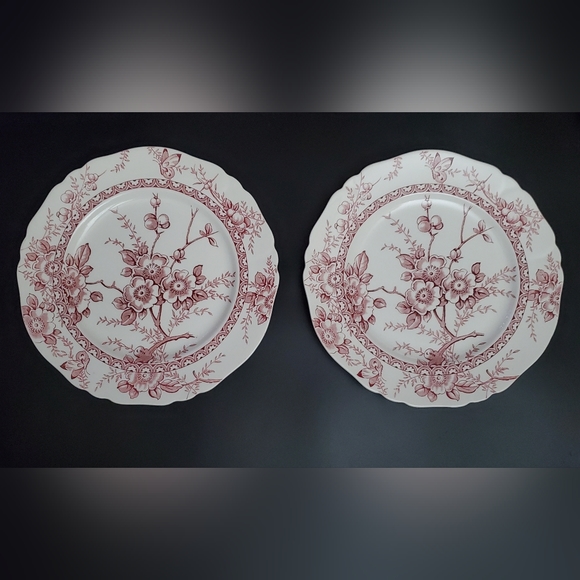 Vntg (2) 10" Pink Red on White "Medway" Decor Alfred Meakin 🇬🇧 England - Picture 1 of 6